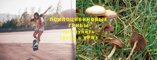 MDMA Premium VHQ Зеленокумск