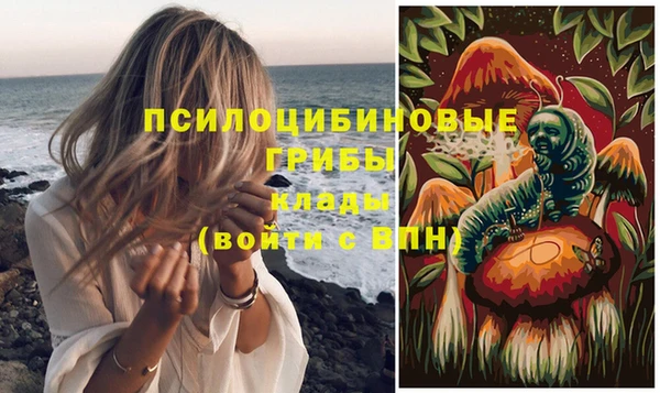 прущие крисы Зеленодольск