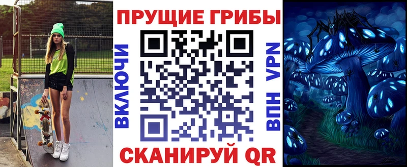 Псилоцибиновые грибы мицелий  Купить закладки  Губаха 