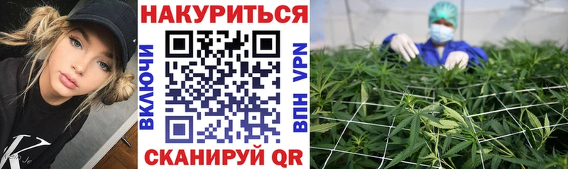 Купить  Губаха  Конопля White Widow 
